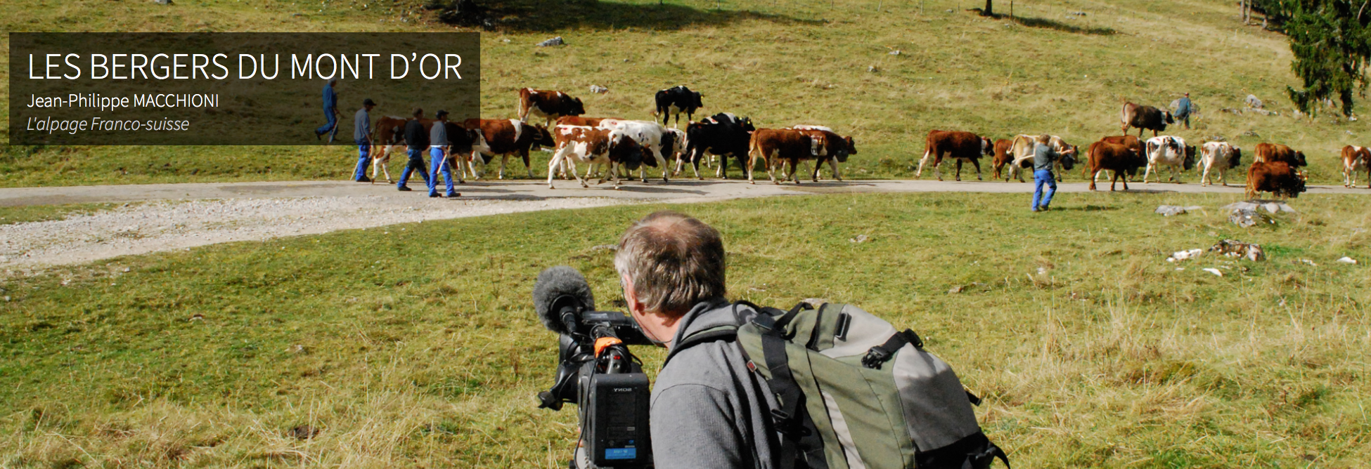 Traduction audiovisuelle pour Vie des Hauts Production