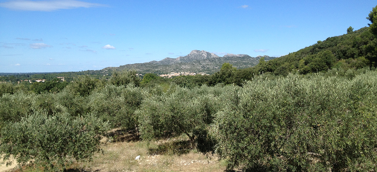 Domaine-les-opies Domaine-les-opies