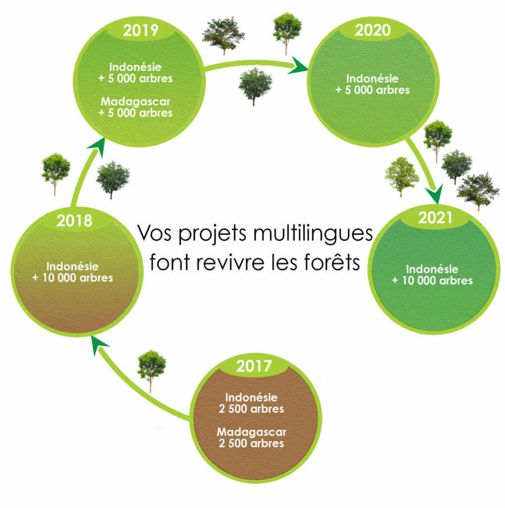 Reforestation