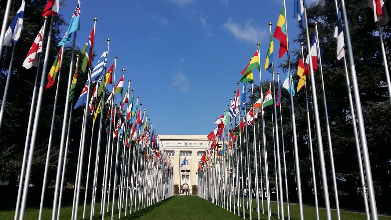 Drapeau Pays ONU